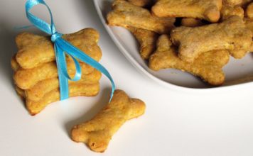 LoveChihuahua.it - Informazioni, curiosità, video, ricette e accessori per Chihuahua